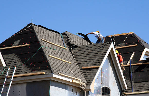 Best Roof Moss and Algae Removal  in Sycamore, GA